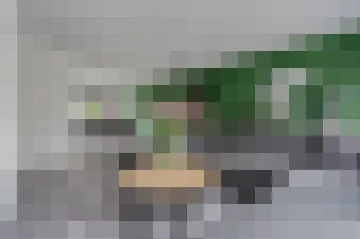 Noordsingel 33 A Wezep thumbnail 12