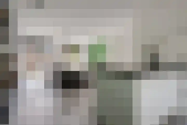 Noordsingel 33 A Wezep thumbnail 14