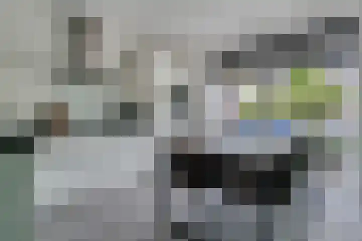 Noordsingel 33 A Wezep thumbnail 15