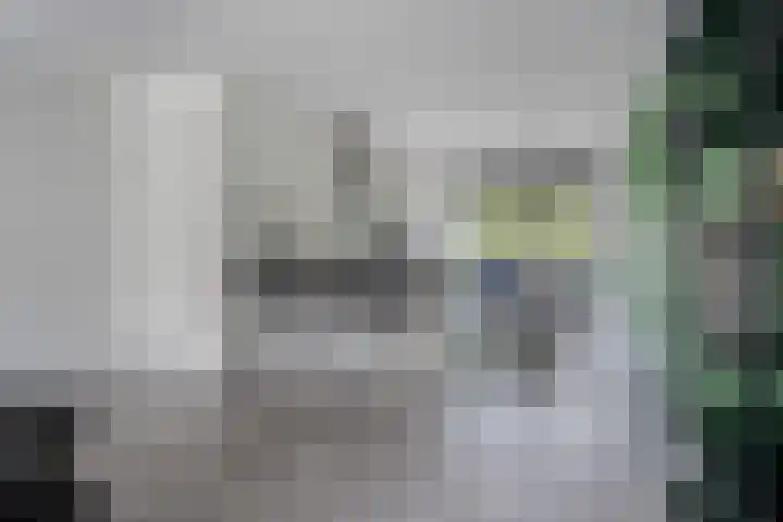 Noordsingel 33 A Wezep thumbnail 17