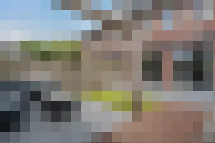 Noordsingel 33 A Wezep thumbnail 21
