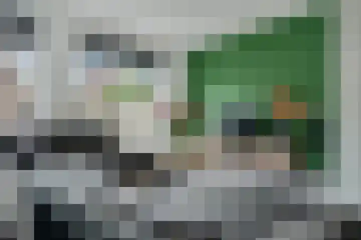 Noordsingel 33 A Wezep thumbnail 23