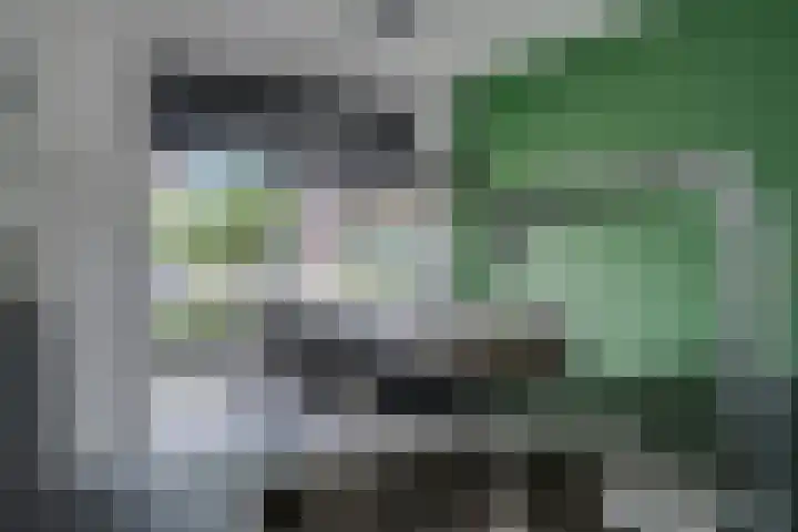 Noordsingel 33 A Wezep thumbnail 24