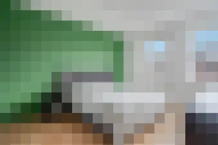 Noordsingel 33 A Wezep thumbnail 26