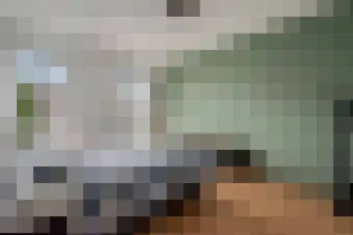 Noordsingel 33 A Wezep thumbnail 30