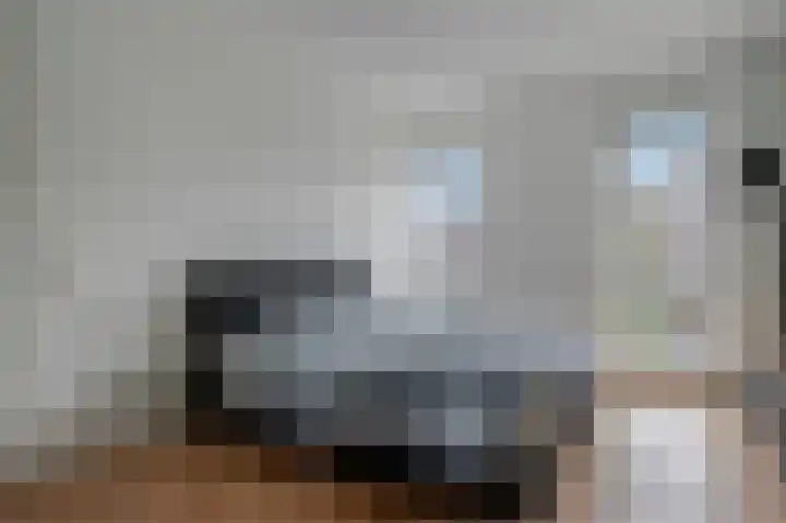 Noordsingel 33 A Wezep thumbnail 31