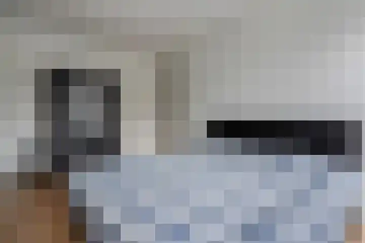 Noordsingel 33 A Wezep thumbnail 32