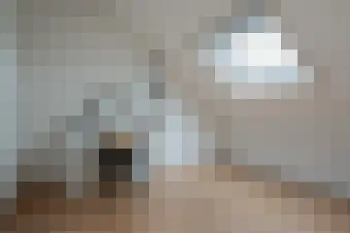 Noordsingel 33 A Wezep thumbnail 36