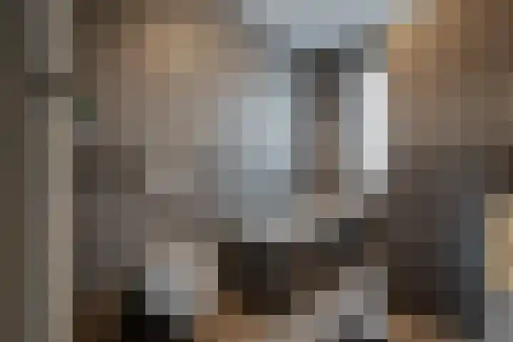 Noordsingel 33 A Wezep thumbnail 37
