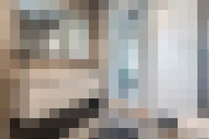 Noordsingel 33 A Wezep thumbnail 38