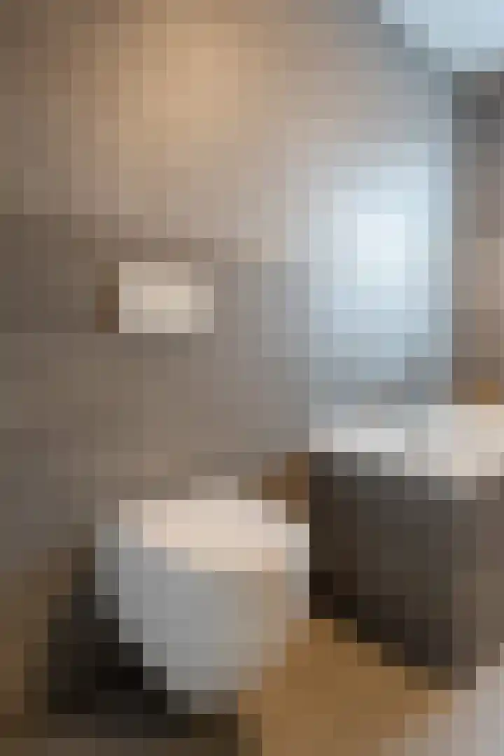 Noordsingel 33 A Wezep thumbnail 40