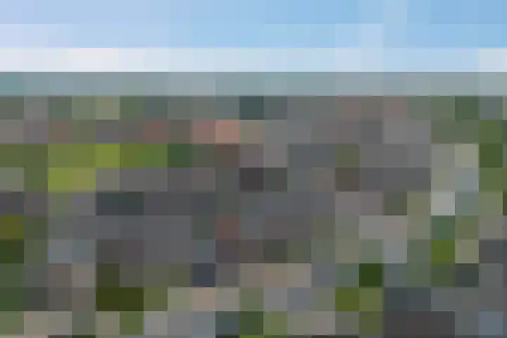 Noordsingel 33 A Wezep thumbnail 41
