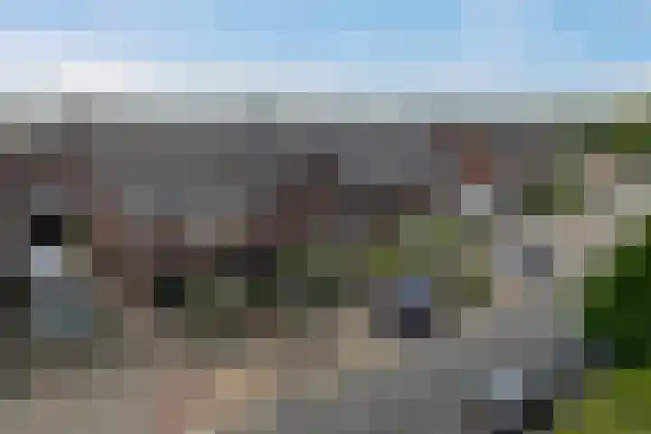 Noordsingel 33 A Wezep thumbnail 42