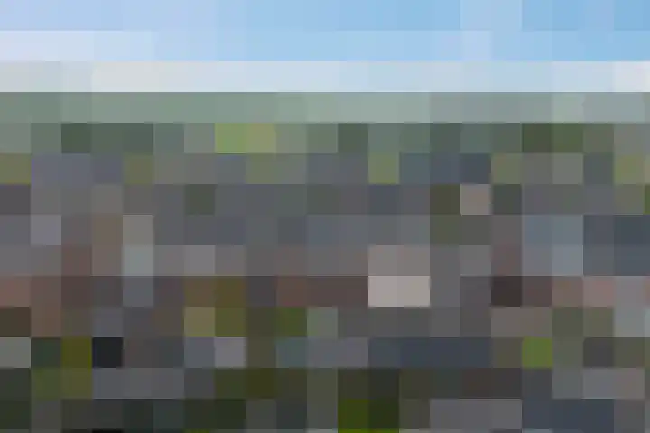 Noordsingel 33 A Wezep thumbnail 45