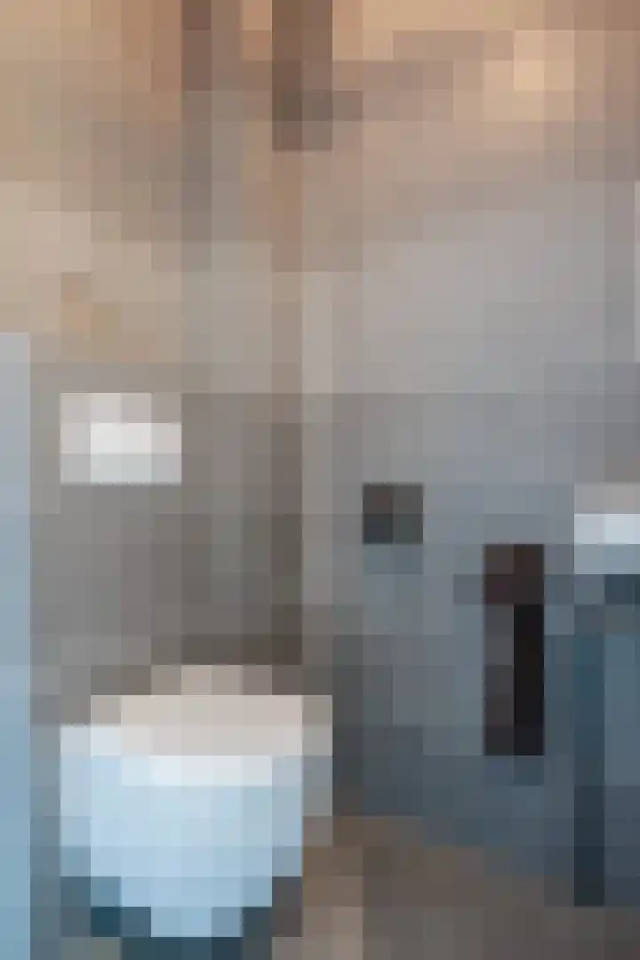 Noordsingel 33 A Wezep thumbnail 7