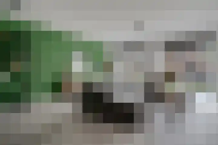 Noordsingel 33 A Wezep thumbnail 9