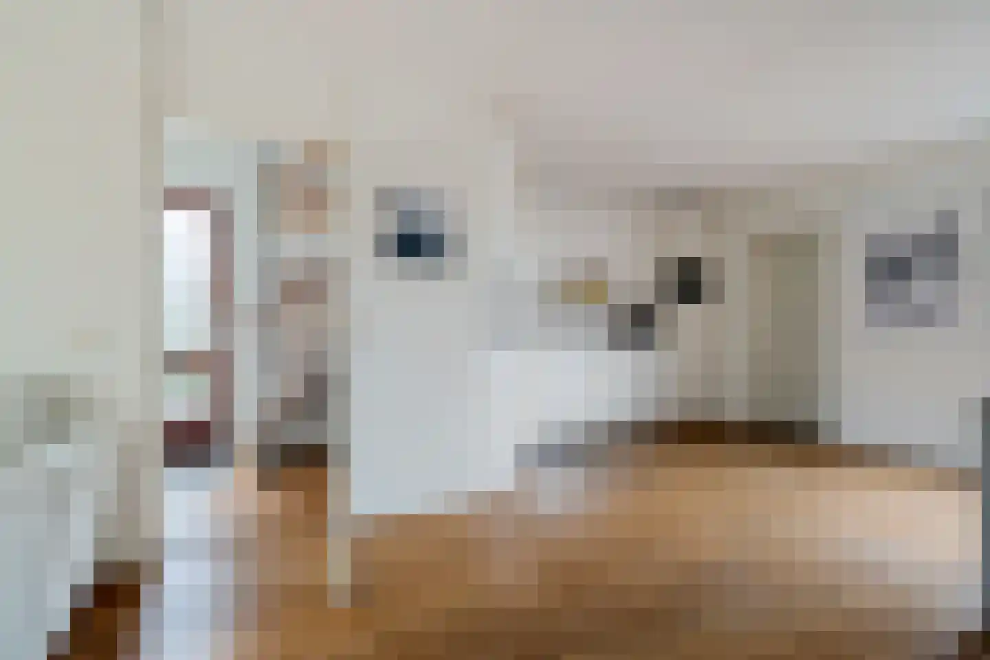 Noordsingel 37 Swifterbant thumbnail 17