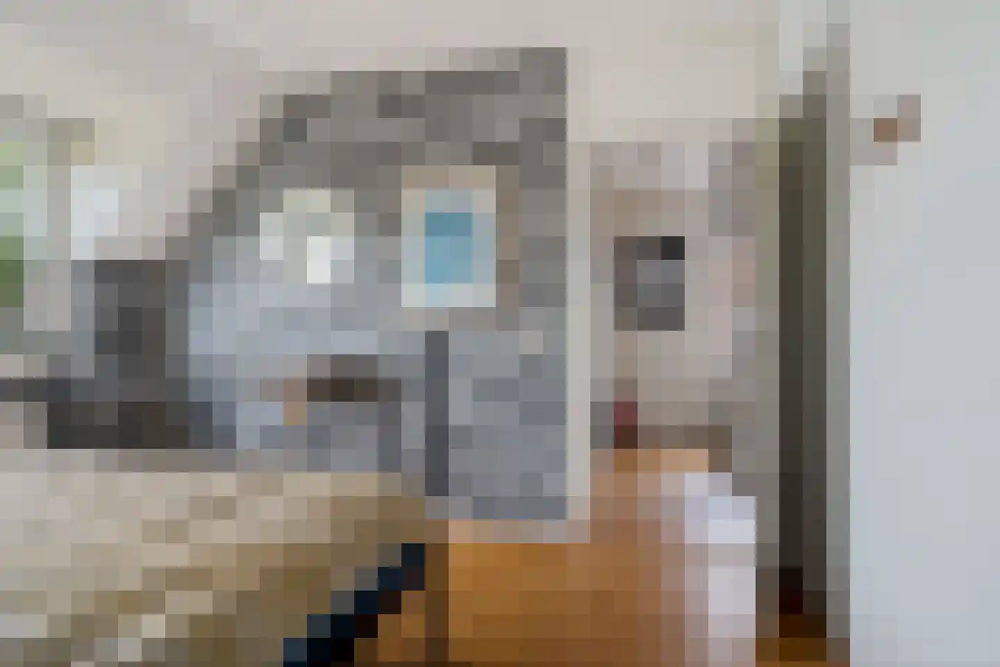 Noordsingel 37 Swifterbant thumbnail 29