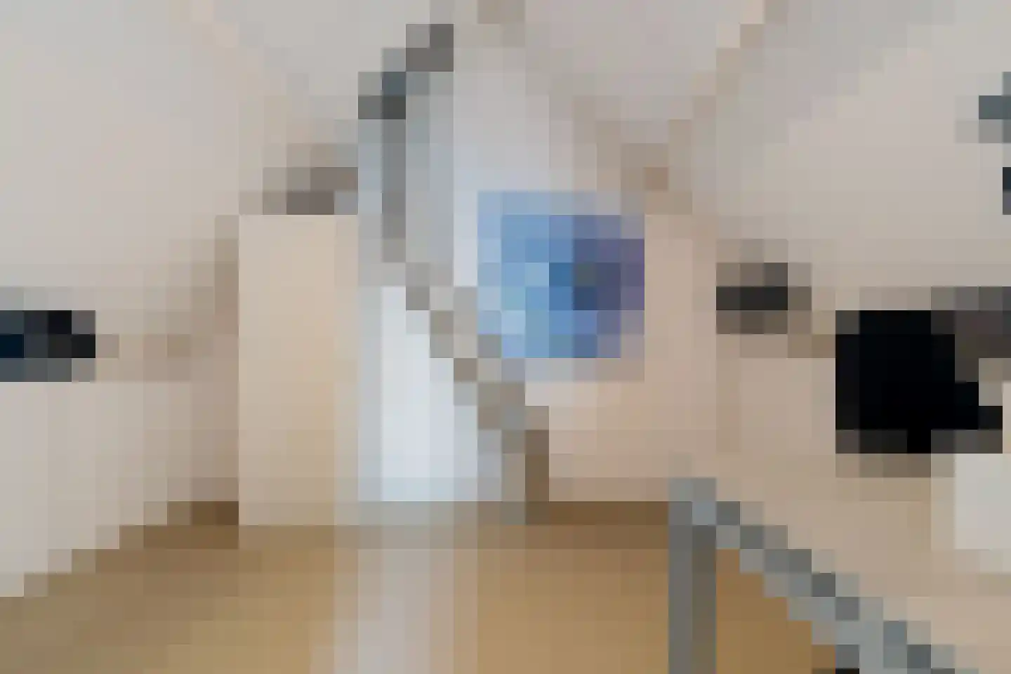 Noordsingel 37 Swifterbant thumbnail 35