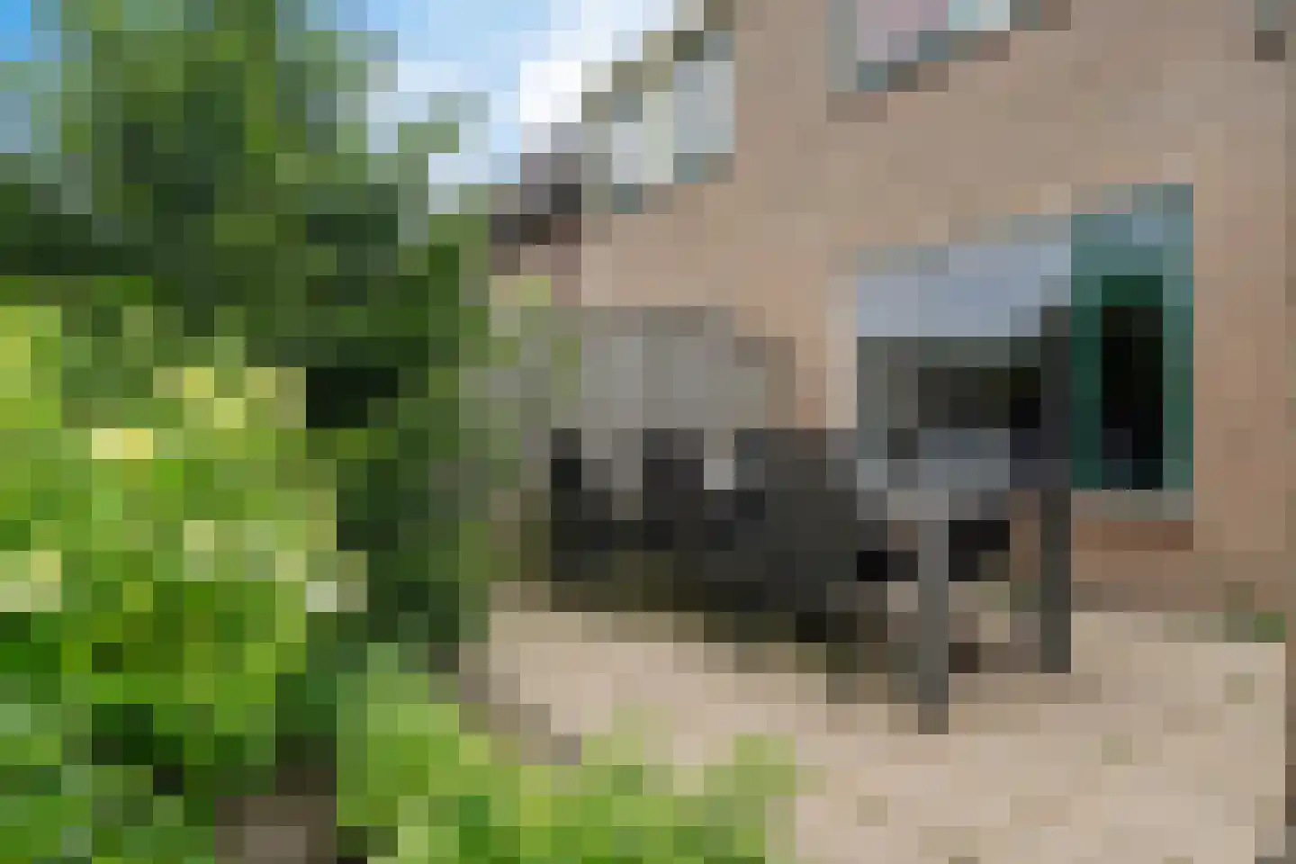 Noordsingel 37 Swifterbant thumbnail 36