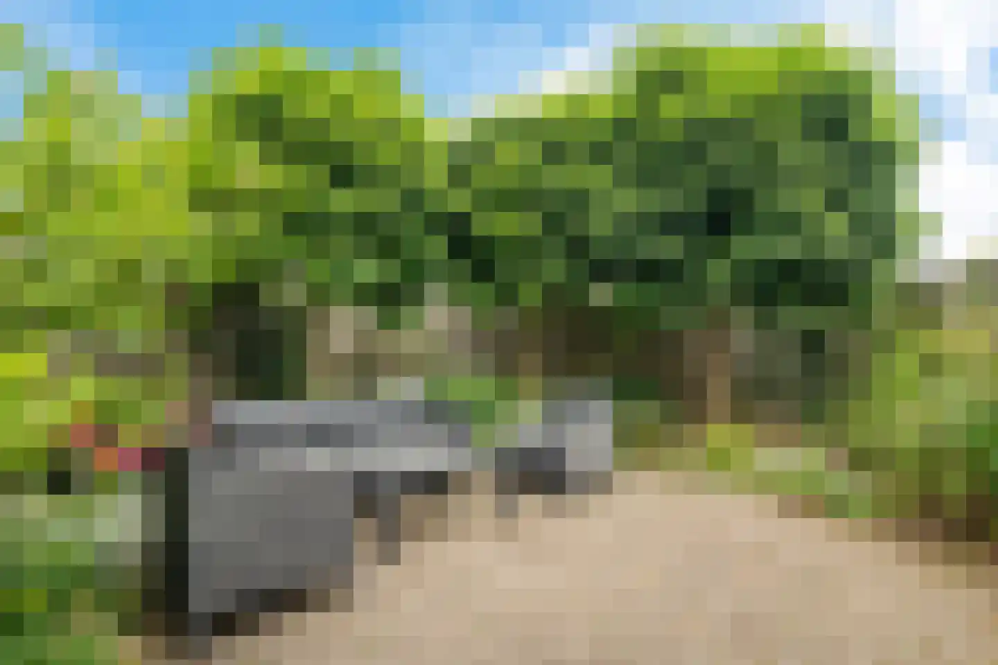 Noordsingel 37 Swifterbant thumbnail 4