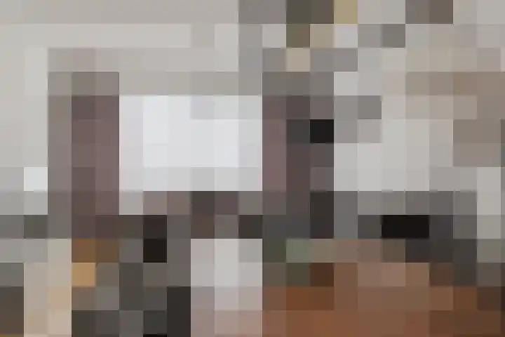Noordsingel 39 Sprundel thumbnail 10
