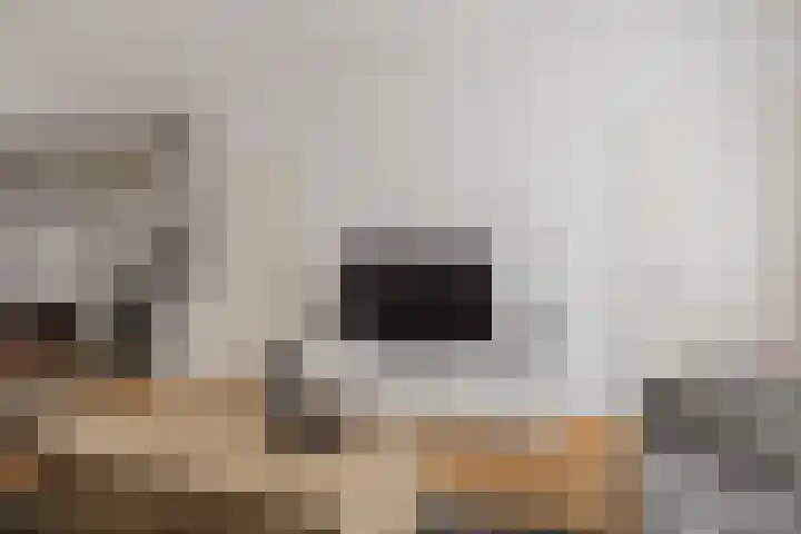 Noordsingel 39 Sprundel thumbnail 11