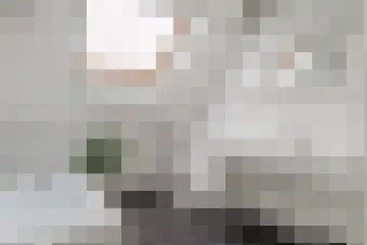 Noordsingel 39 Sprundel thumbnail 23