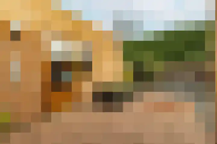 Noordsingel 39 Sprundel thumbnail 26