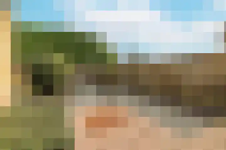 Noordsingel 39 Sprundel thumbnail 27