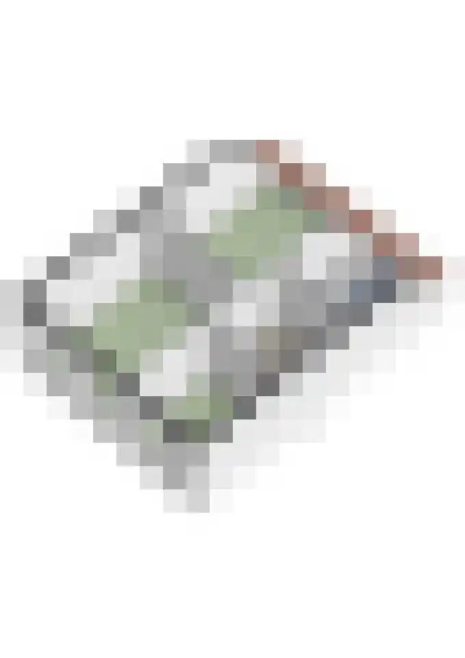 Noordsingel 39 Sprundel thumbnail 36