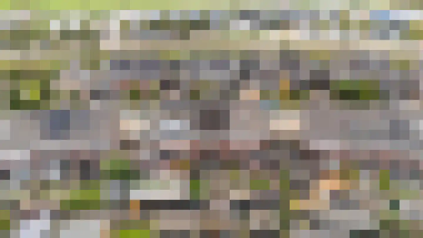Noordsingel 39 Wezep thumbnail 31