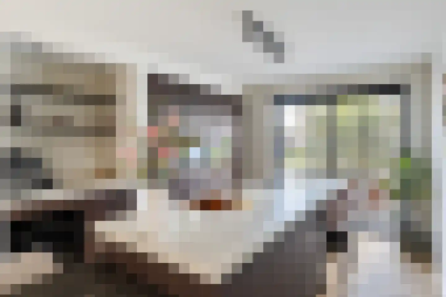 Noordsingel 39 Wezep thumbnail 4