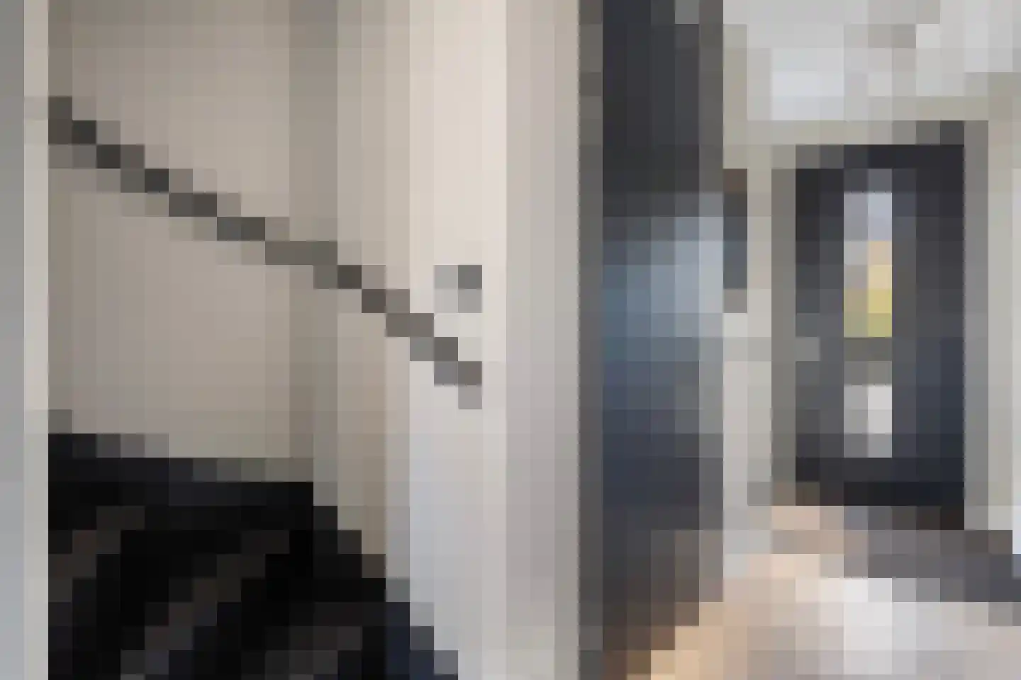 Noordsingel 39 Wezep thumbnail 6