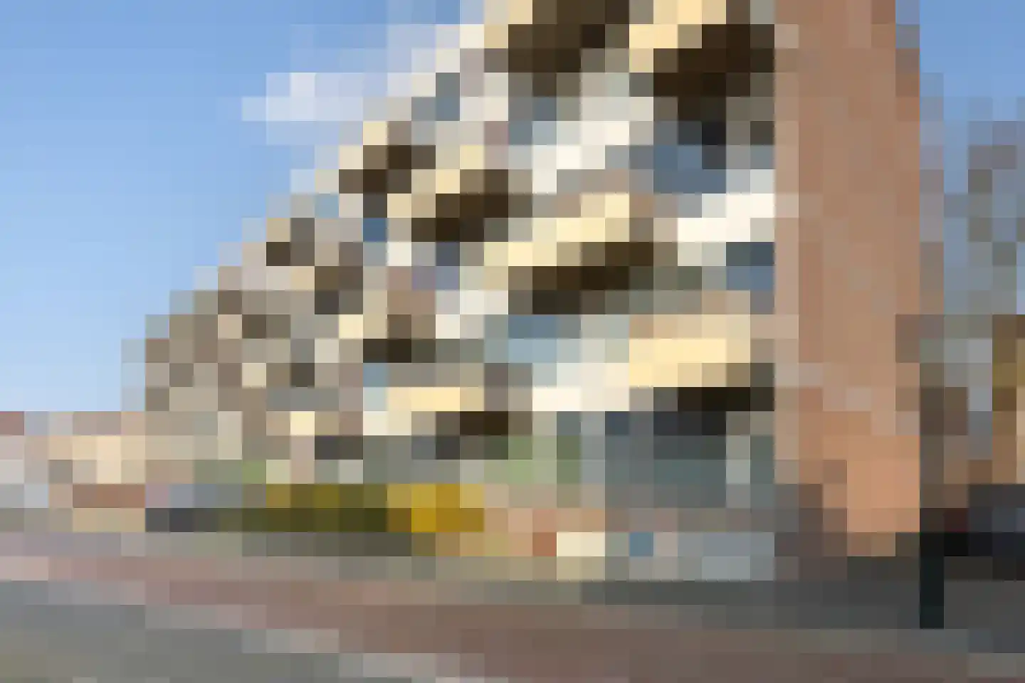 Noordsingel 42 Bergen op Zoom thumbnail 31