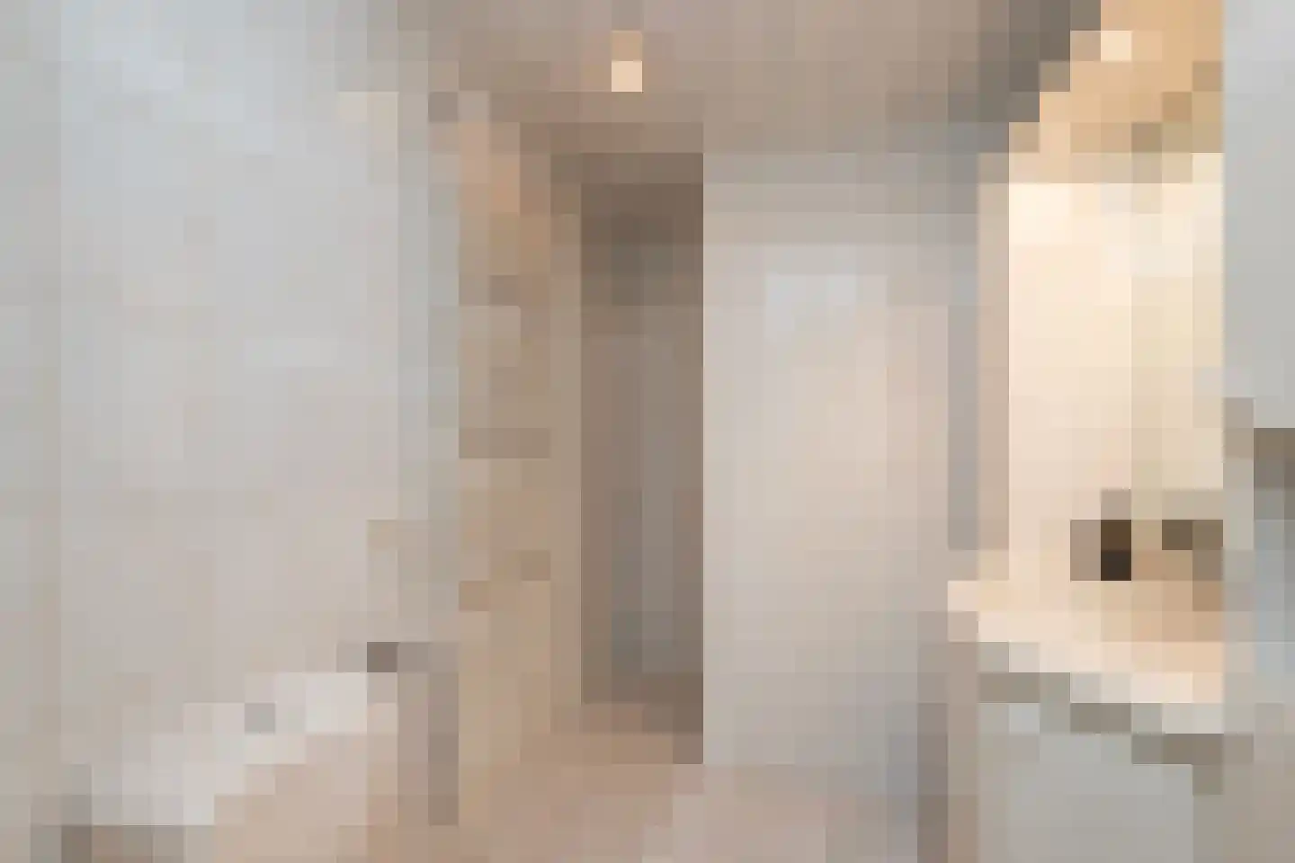 Noordsingel 44 Swifterbant thumbnail 13