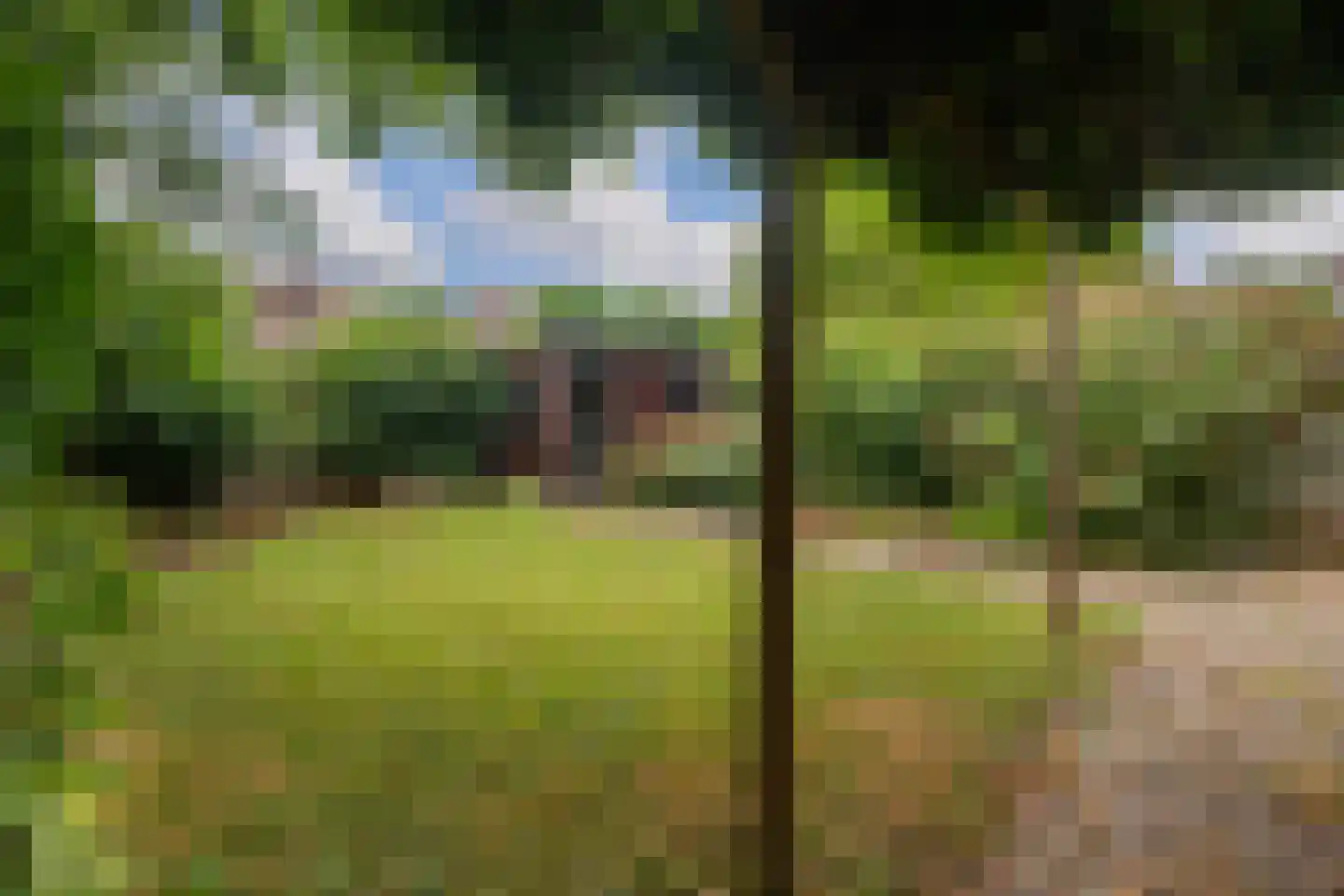 Noordsingel 44 Swifterbant thumbnail 17
