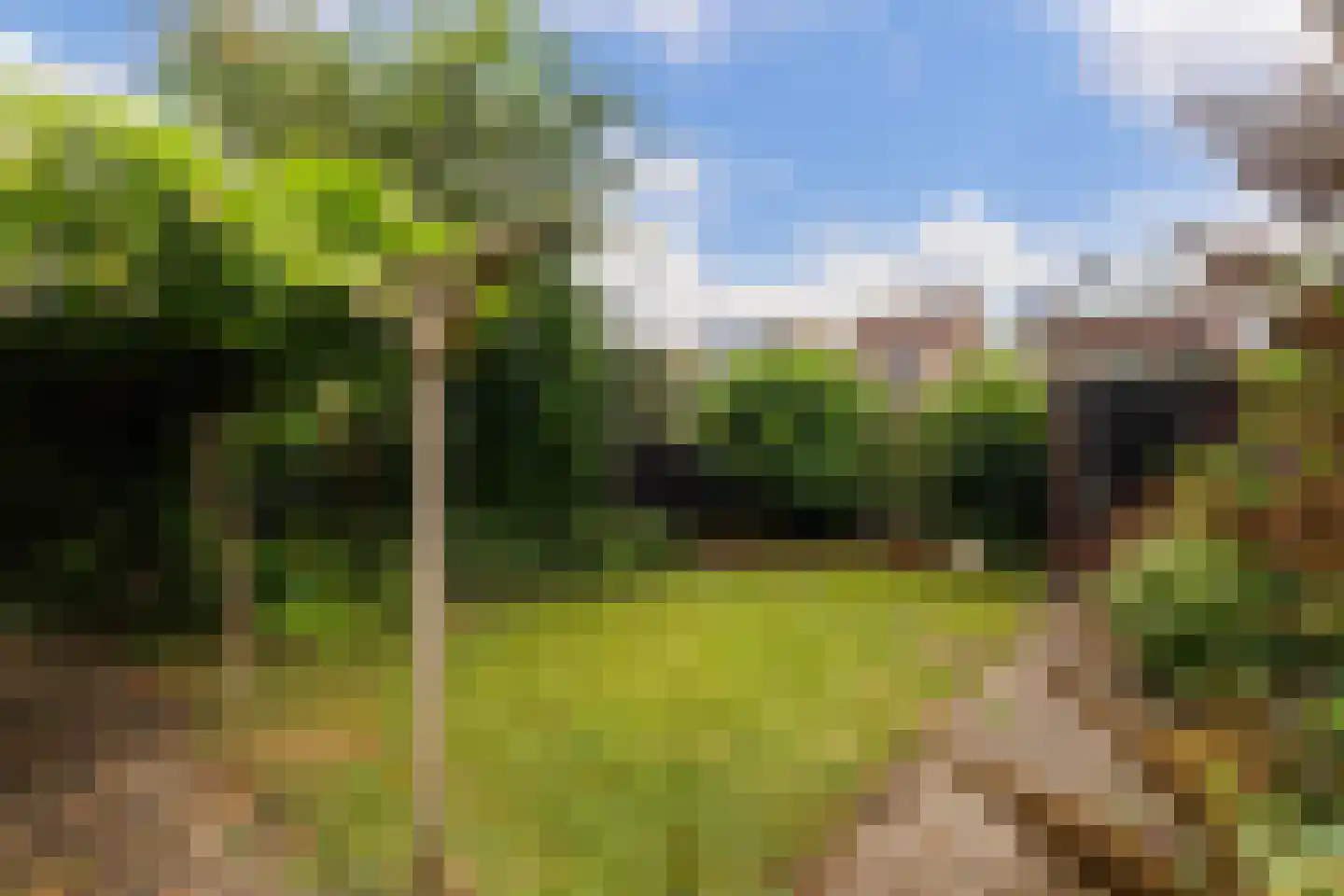 Noordsingel 44 Swifterbant thumbnail 18