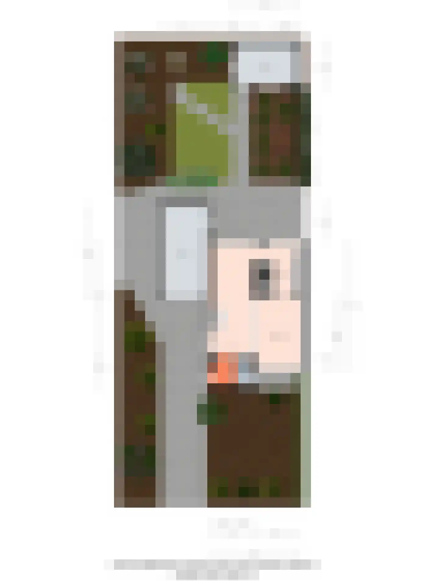Noordsingel 44 Swifterbant thumbnail 20