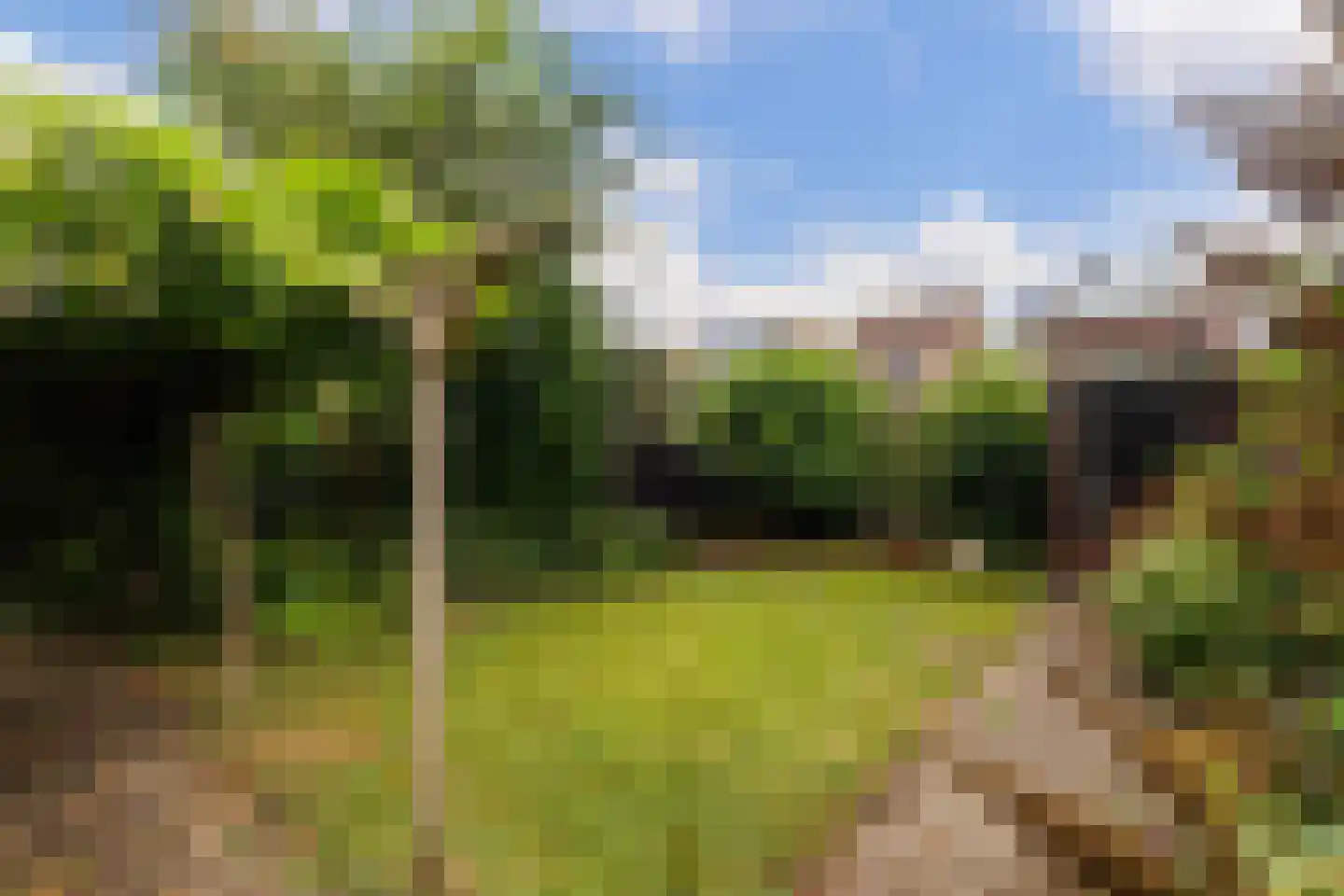 Noordsingel 44 Swifterbant thumbnail 21