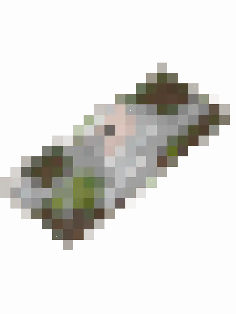 Noordsingel 44 Swifterbant thumbnail 25