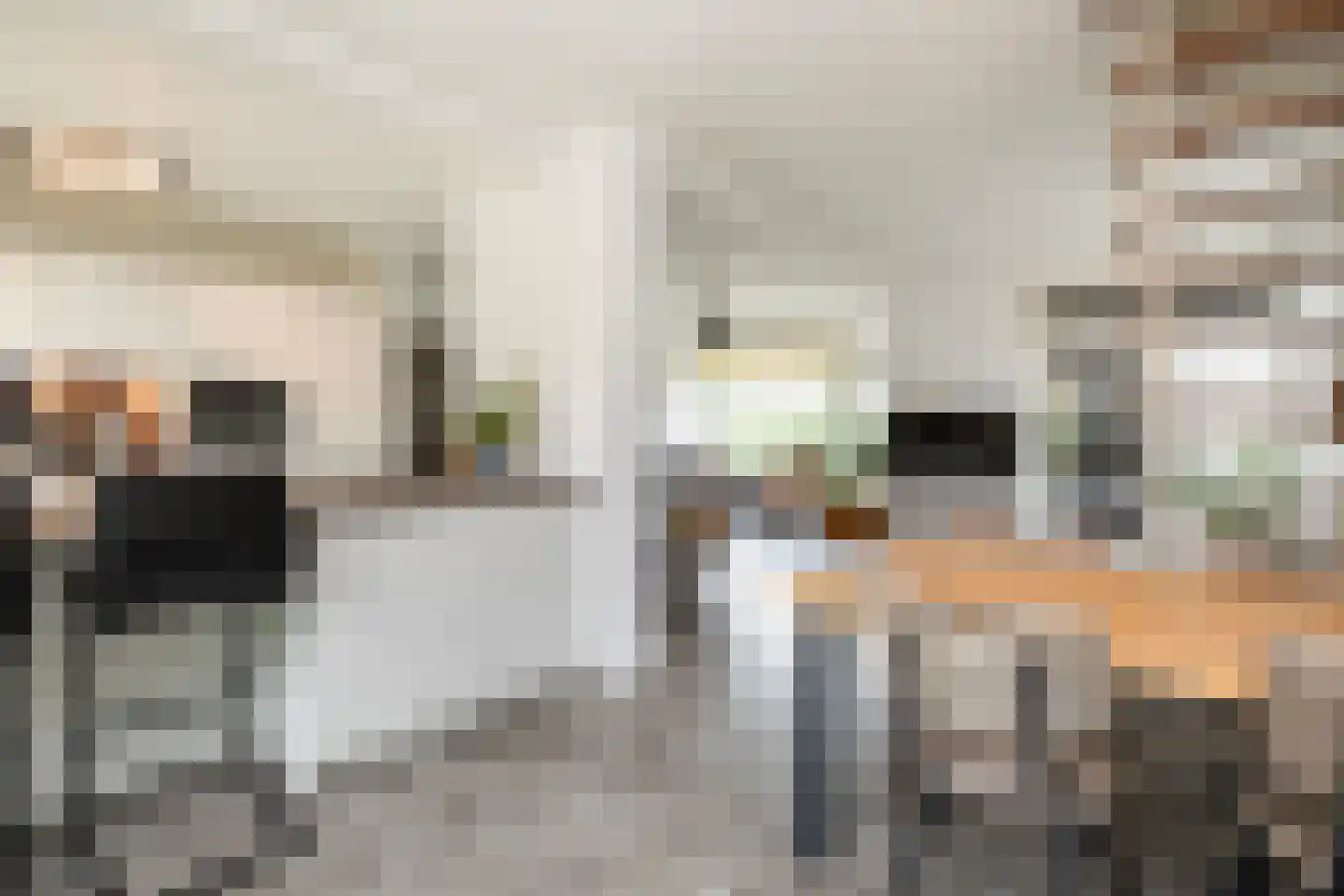 Noordsingel 44 Swifterbant thumbnail 6