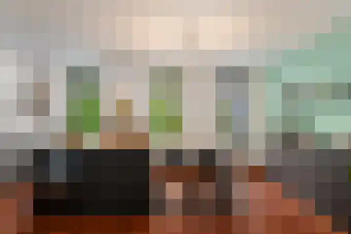 Noordsingel 45 B 02 Rotterdam thumbnail 13