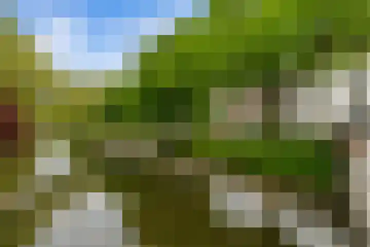 Noordsingel 45 B 02 Rotterdam thumbnail 33