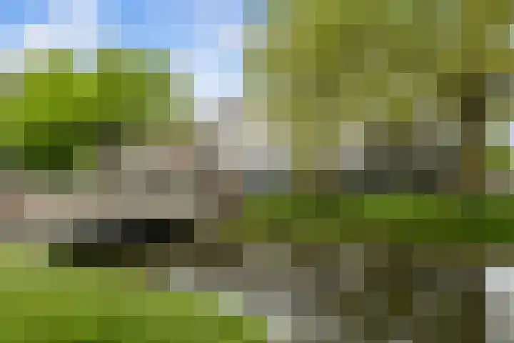 Noordsingel 45 B 02 Rotterdam thumbnail 5