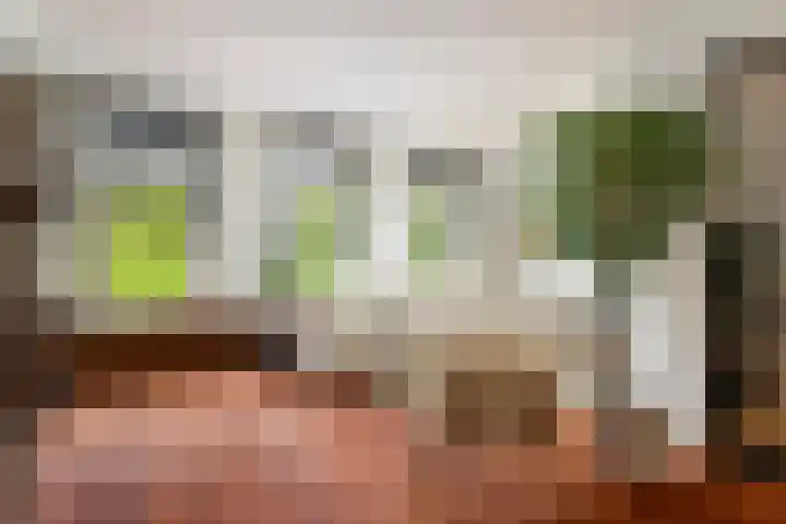 Noordsingel 45 B 02 Rotterdam thumbnail 6