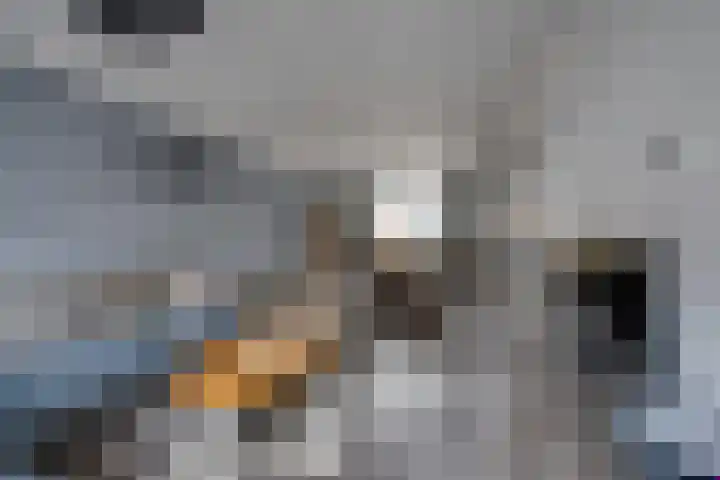 Noordsingel 47 Sprundel thumbnail 13