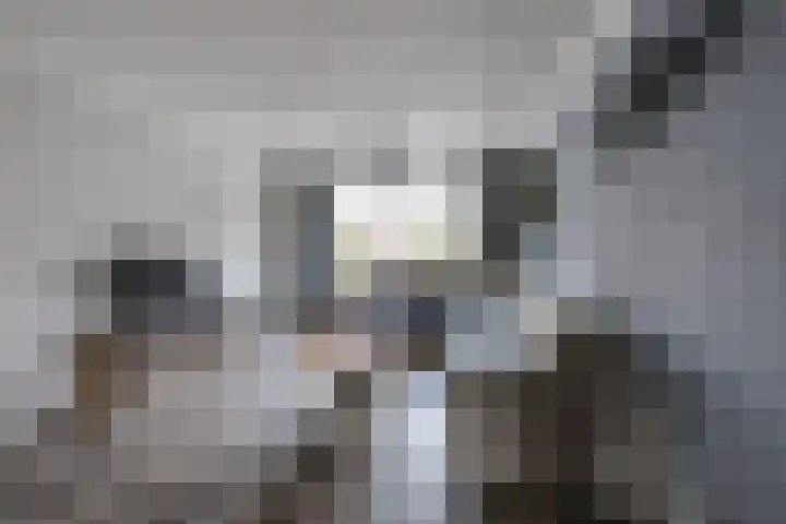 Noordsingel 47 Sprundel thumbnail 14
