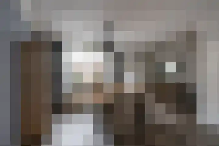Noordsingel 47 Sprundel thumbnail 15
