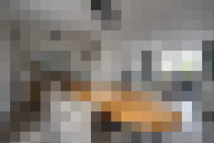 Noordsingel 47 Sprundel thumbnail 16